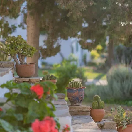 Apart-hotel Antonina Agia Anna (Naxos)
