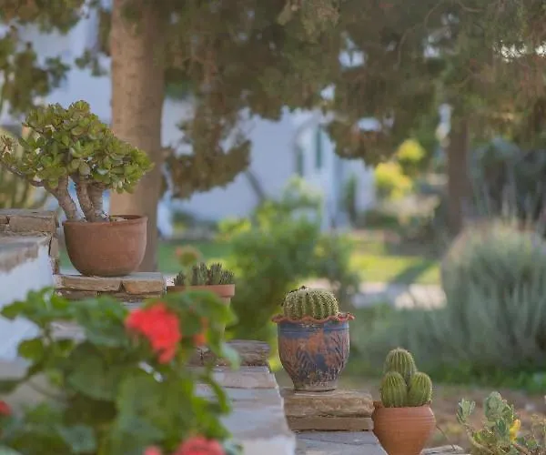 Aparthotel Antonina Agia Anna (Naxos)