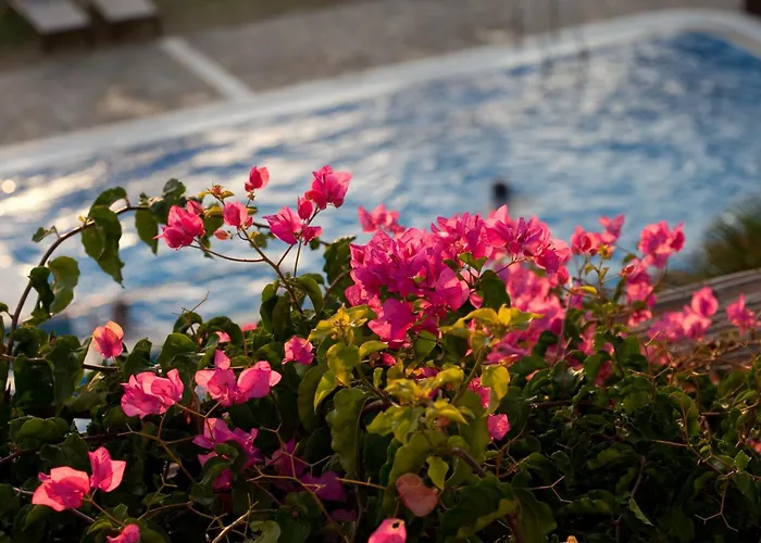 Aparthotel Antonina Agia Anna (Naxos)